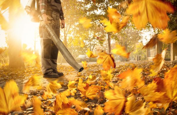 Leaf Blowing Service in Monroe Township