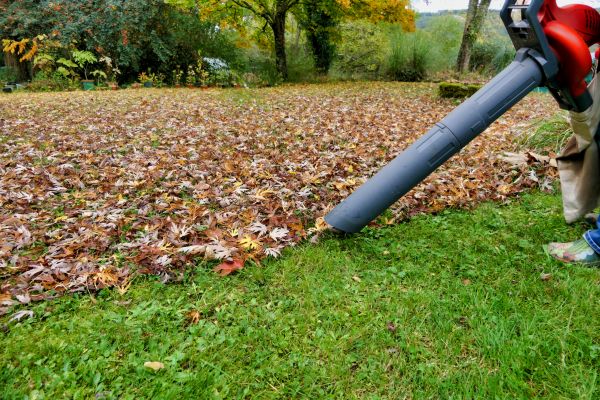 Leaf Vacuuming Service in Monroe Township