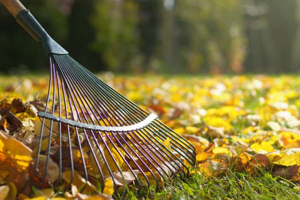 Leaf Raking Service in Monroe Township