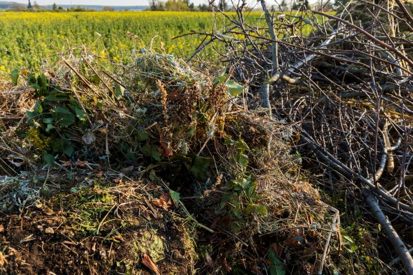 Cost of Brush Disposal in Monroe Township