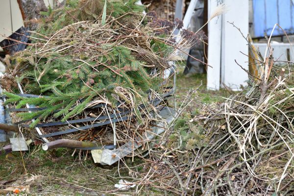 Cost of Yard Waste Removal Service in Monroe Township