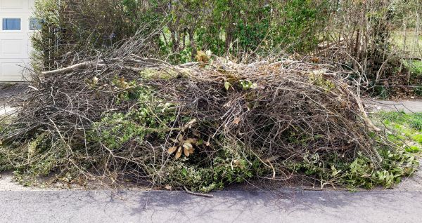 Cost of Tree Limb Cleanup in Monroe Township