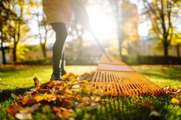 Leaves Raking in Monroe Township