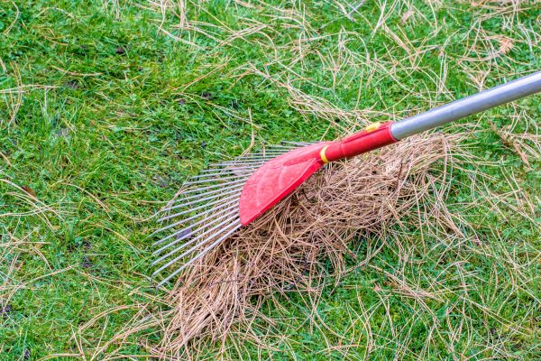 Yard Raking in Monroe Township