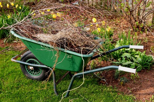 Cost of Lawn Waste Removal in Monroe Township