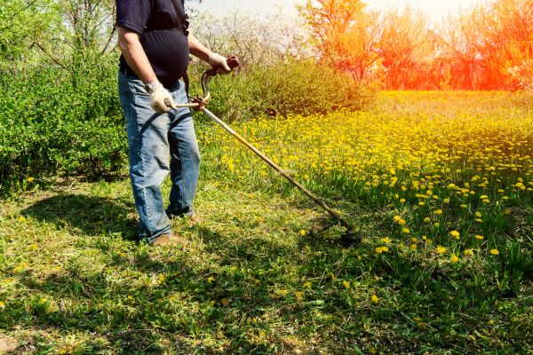 Yard Clearing Service in Monroe Township