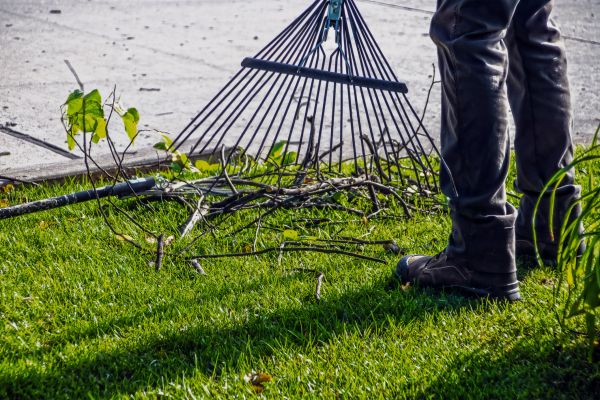 Yard Debris Cleanup in Monroe Township