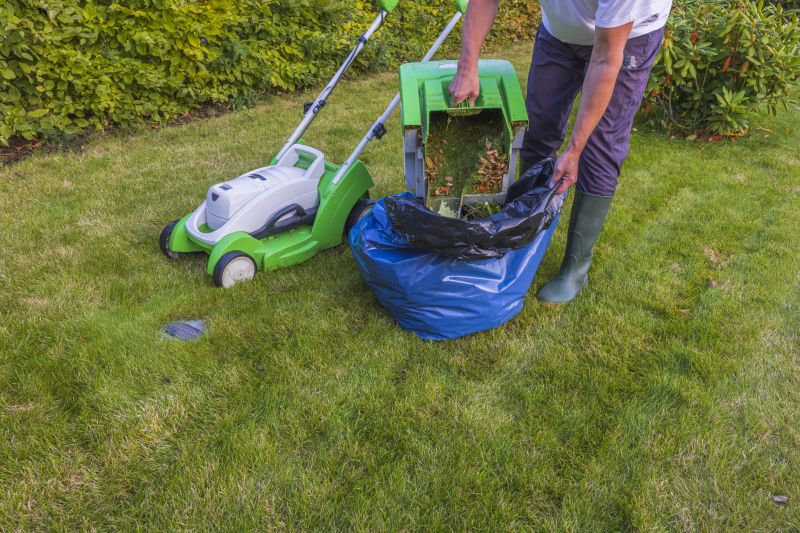 Holiday Lawn Maintenance